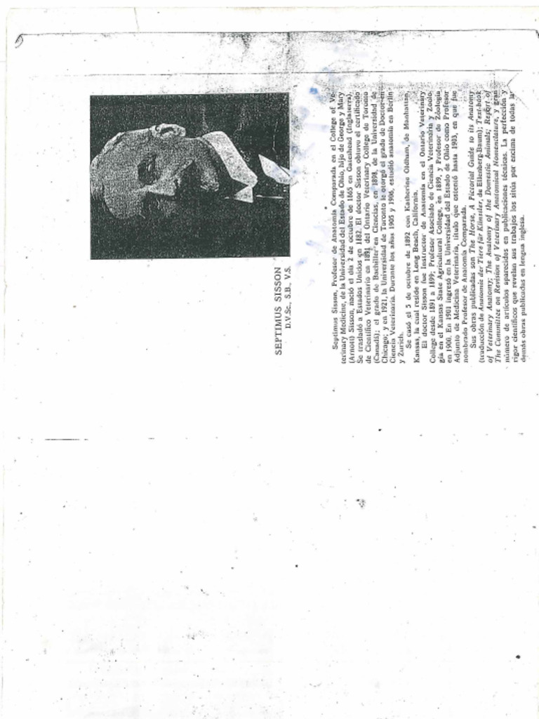 Anatomía intelligence overview