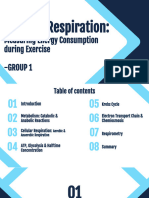 Cellular Respiration Group1