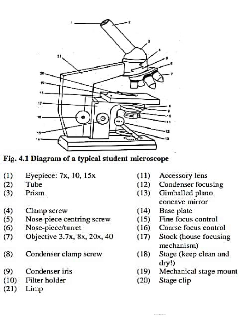 Possible Bio 103 Diagrams To See in Exam | PDF
