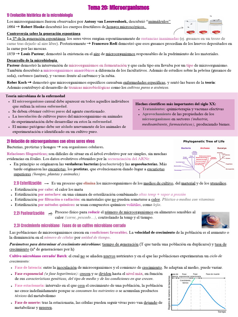 Historia y desarrollo de la microbiología | PDF | Las bacterias ...