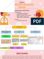 Semamana 06 - Patologia Respiratoria en Pam