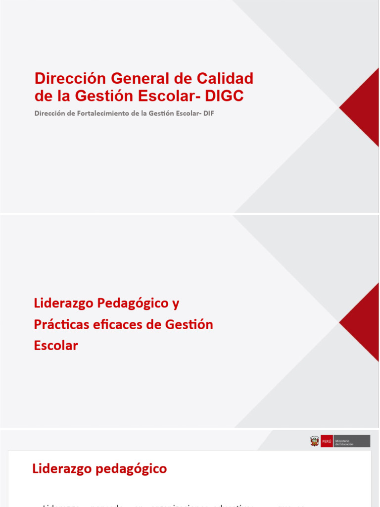 Liderazgo Pedagógico en Gestión Escolar | PDF | Liderazgo | Enseñando