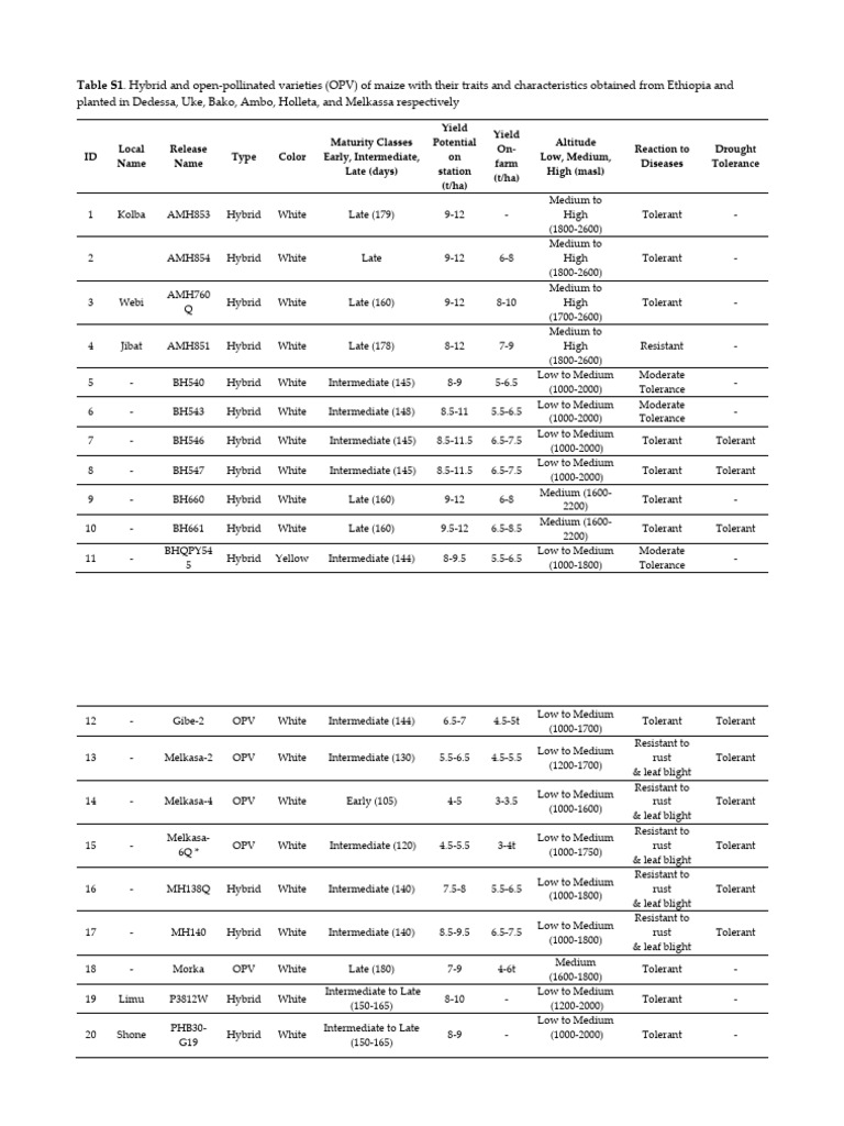 Maize Varieties and Traits Overview | PDF | Maize | Organisms