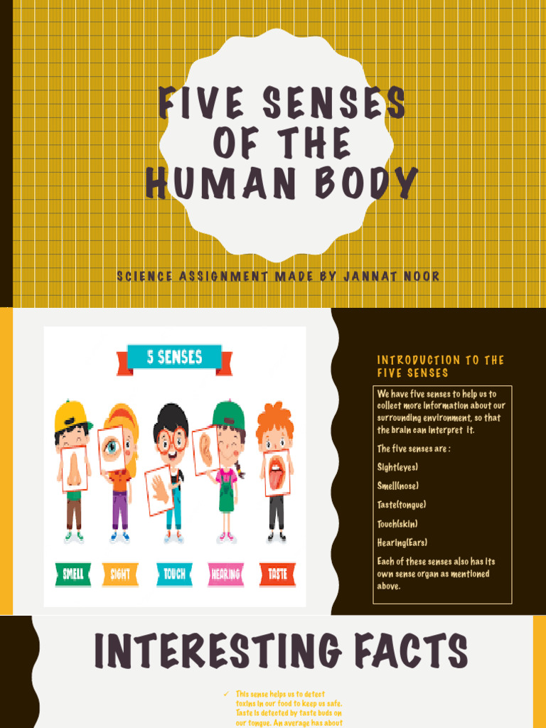 Understanding the Five Human Senses | PDF | Self-Improvement | Wellness