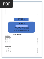 Grade 9 Cell Diagram Worksheet | PDF
