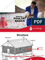 Antrovet - Poultry Basics 1