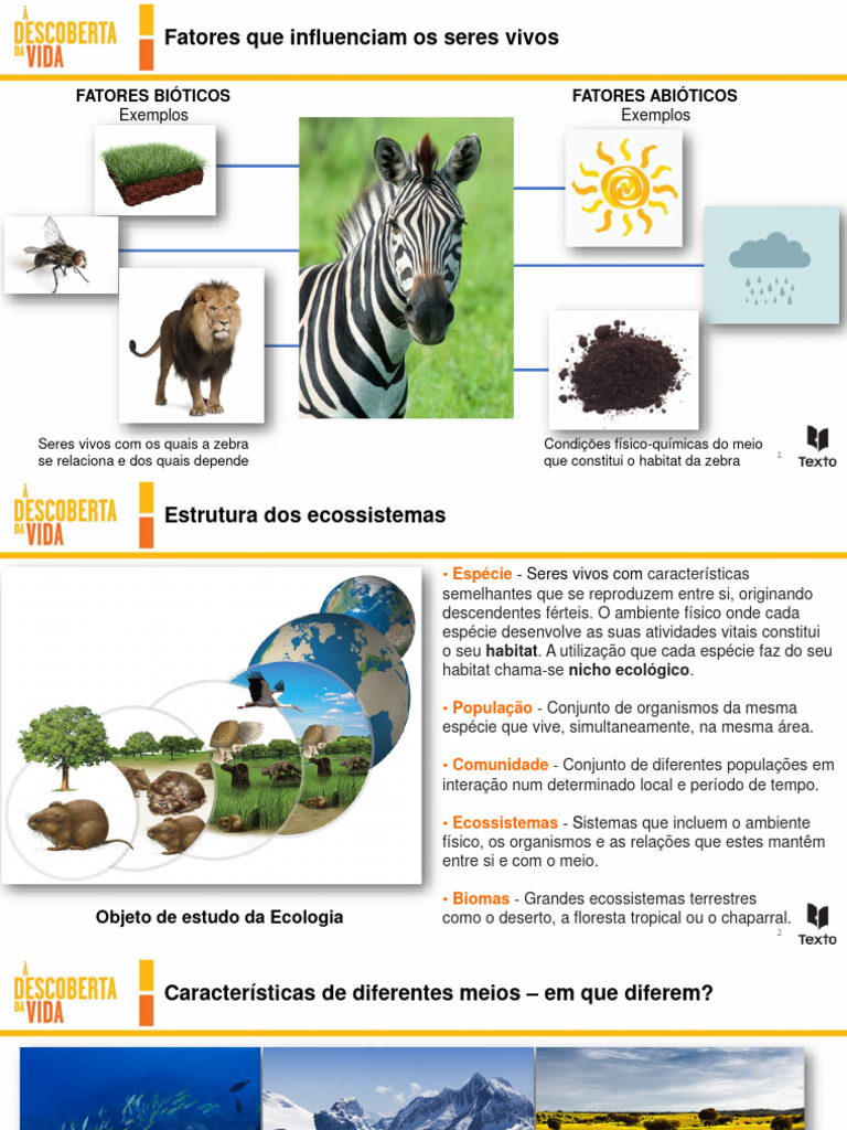 Fatores Que Influenciam Os Seres Vivos: Exemplos Exemplos | PDF |  Ecossistema | Habitat, image size:768x1024