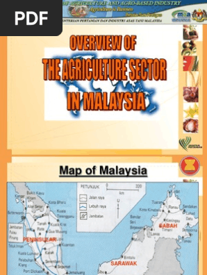 Overview of Agriculture Sector in Malaysia 1230823436347415 1 