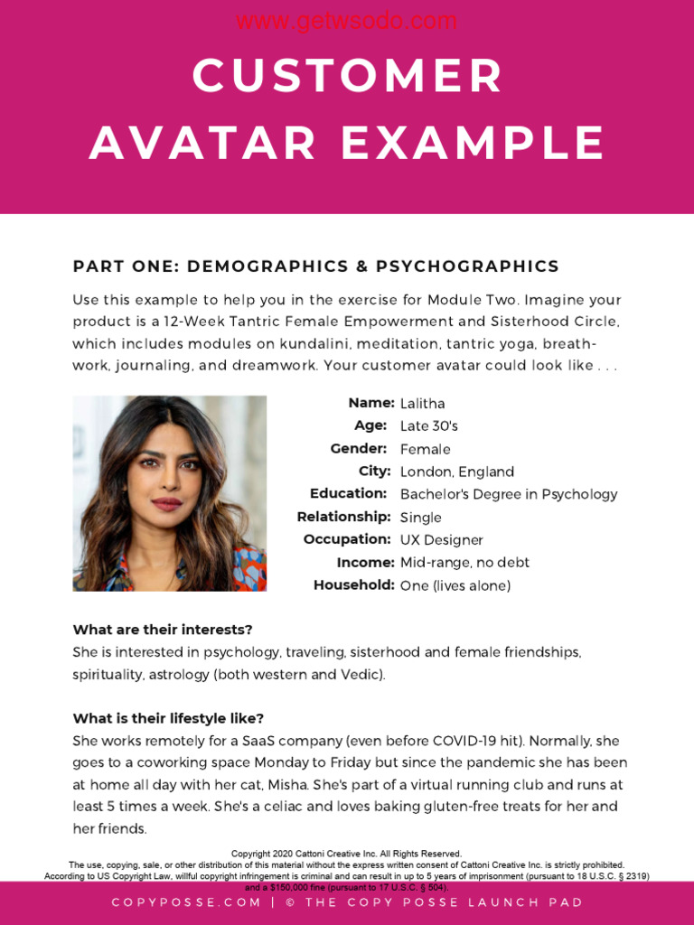 03-Customer Avatar Example | PDF | Mental Health | Anxiety