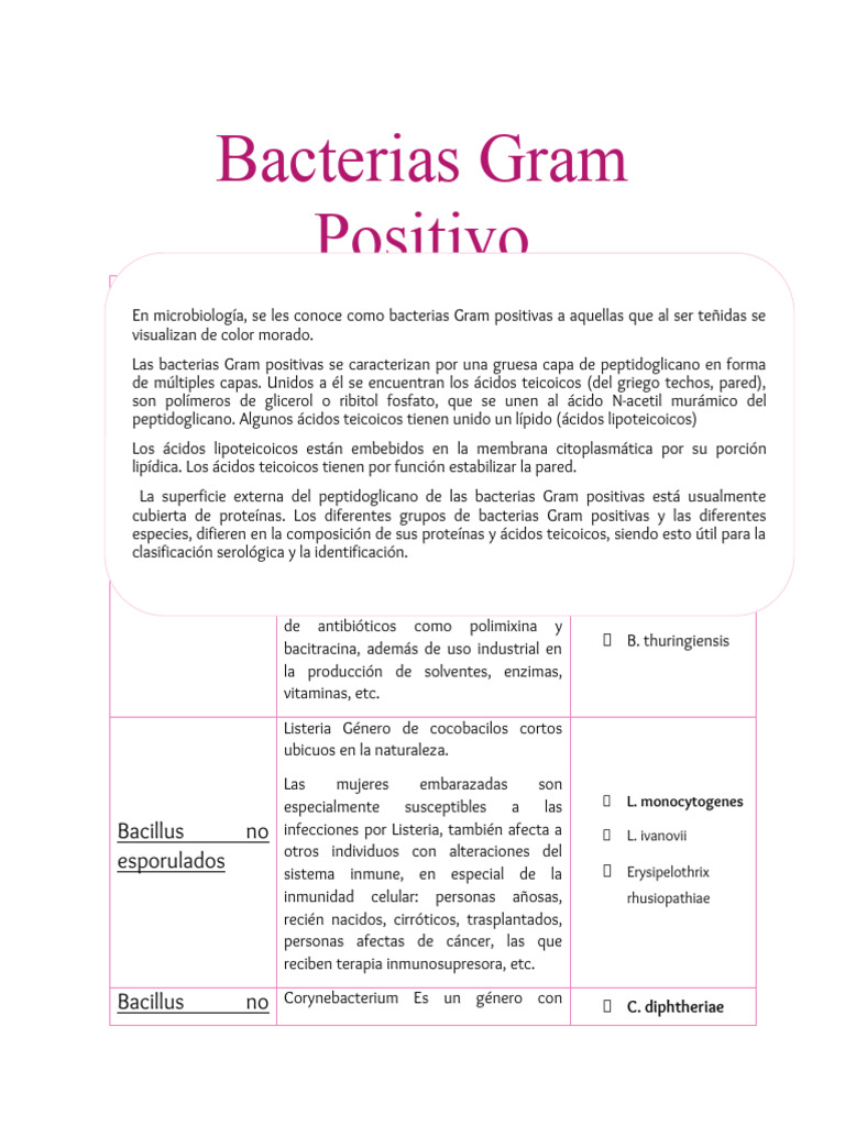 Clasificación de Bacterias Gram Positivas | PDF | Bacilo | Bacterias ...