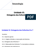 AD 13 - 14 Linfocitos T e B