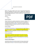 descripción Contrastación de Hipótesis.docx