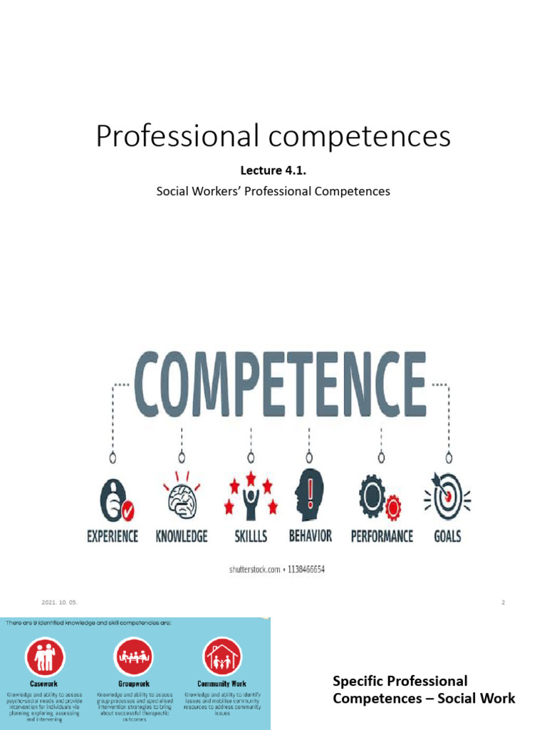 Social Work Professional Competences Guide | PDF | Social Work | Policy