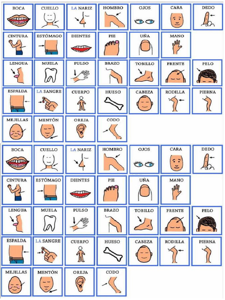 partes del cuerpo | PDF