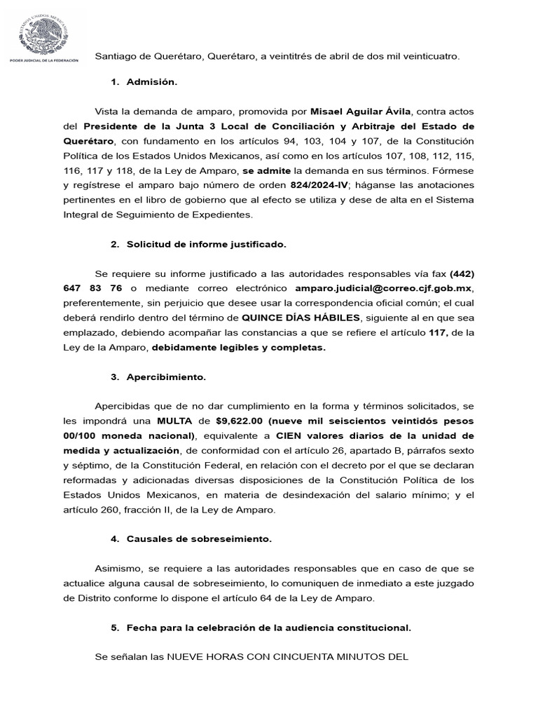 Auto de admisión demanda de amparo | PDF | Justicia | Crimen y violencia