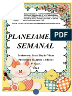 Planejamento Semanal 05-2024