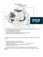 Fisa de Lucru - Geografie