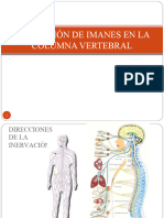 2.5 Aplicación de Imanes en La Columna Vertebral