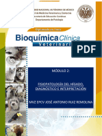 Diplomado de Bioquímica 2018 Hígado JARR