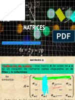 3 1 Matrices y Determinantes