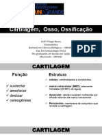 Tecido Cartilaginoso, Osso e Processo de Ossificaã - Ã - o