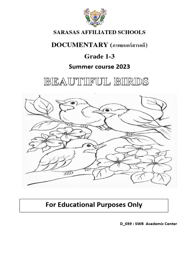 Code.org Angry Birds Grade 1