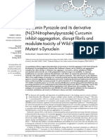 Curcumin Pyrazole and Its Derivative N-3-Nitrophen