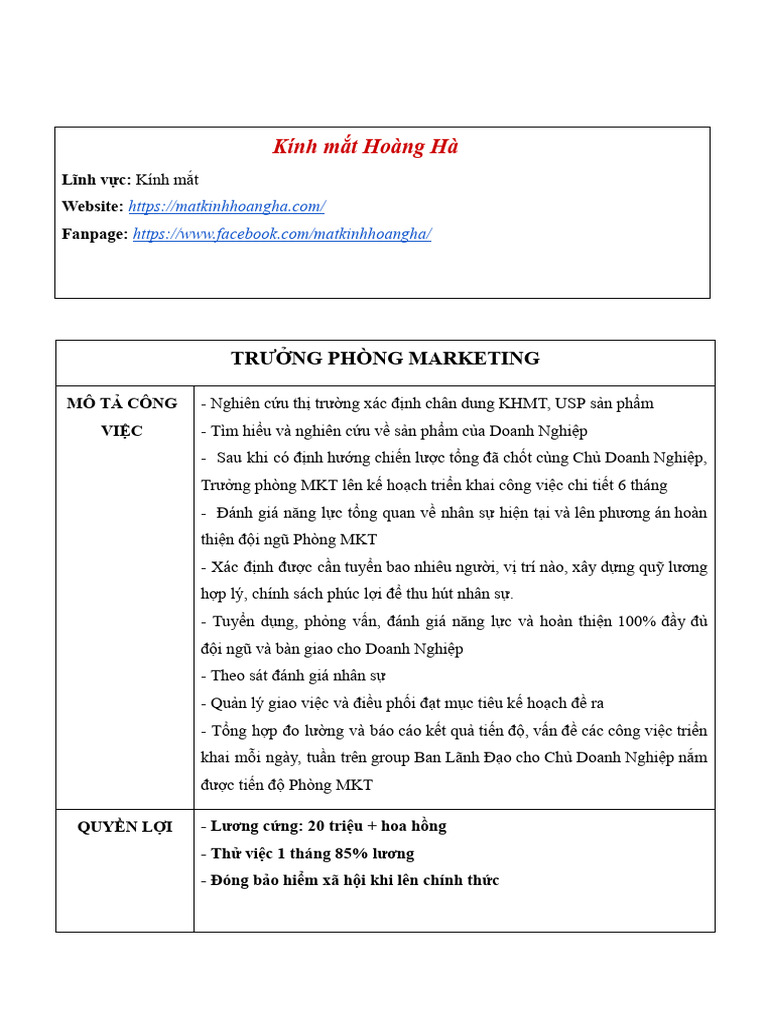 JD TP MKT Kính Mắt Hoàng Hà | PDF