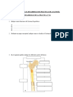 4. GUIA  DE ANATOMÍA SESIÓN 4 Sistema óseo y articular (2)