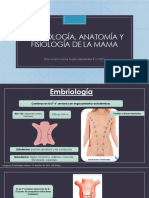 Embriología, anatomía y fisiología de la mama p_240314_104146
