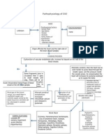 Pa Tho Physiology of CVD