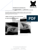 Informe de Radiografia Mia Regino