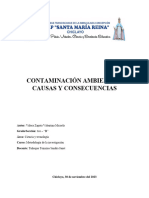 CONTAMINACIÓN AMBIENTAL Monografía