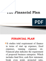 11 The Financial Plan
