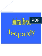 Animal Jeopardy