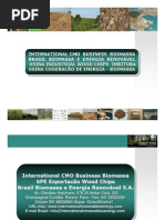 Brasil Biomassa - SPE Wood Chips Exportacão Biomassa Imbituba