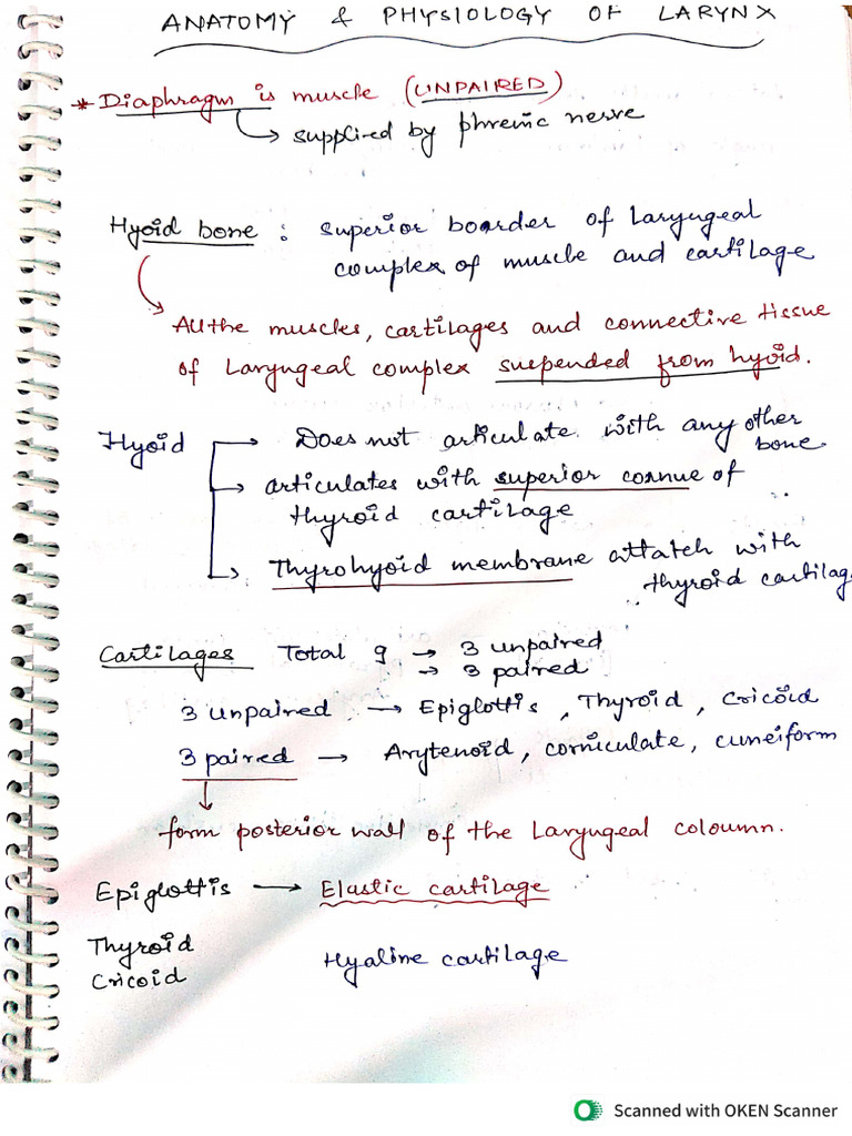 Larynx Anatomy and Physiology For Voice | PDF