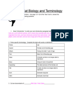 copy of cat biology and terminology