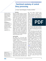 The Functional Anatomy of Central Auditory Processing