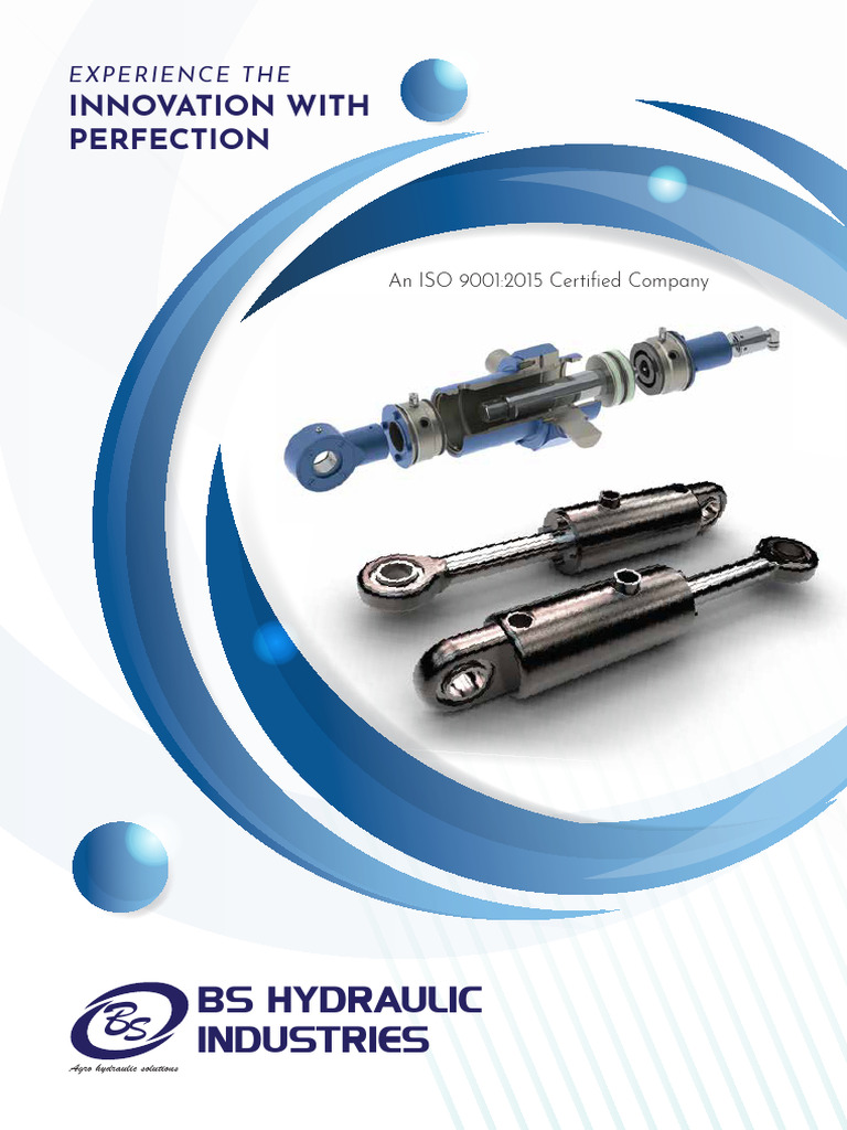 BS Hydrulic Industries Small File | PDF | Piston | Engineering