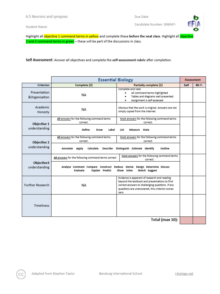 Neurons and Synapses Study Guide | PDF | Action Potential | Synapse