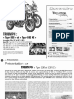 RMT - 170 - Triumph Tiger