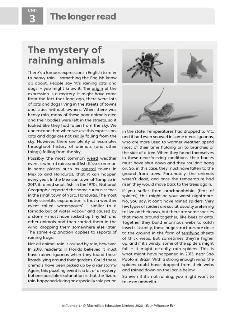The Mystery of Raining Animals Explained | PDF | Spider | Spider Web
