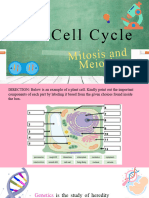 The Cell Cycle 1
