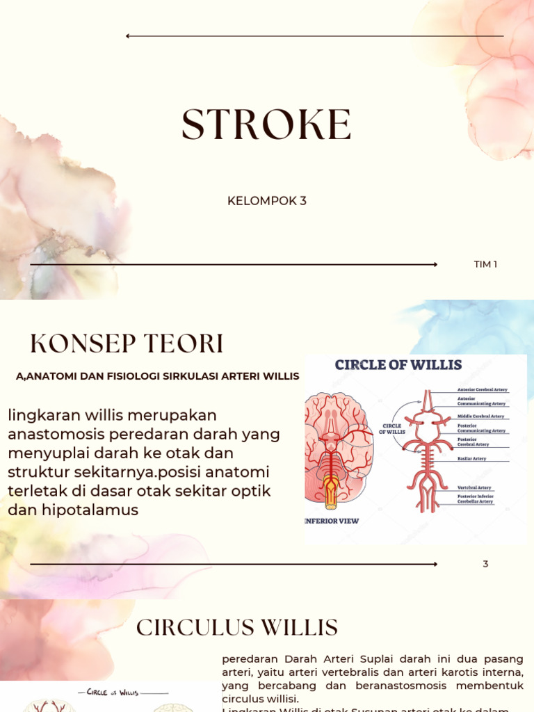 stroke Presentation | PDF