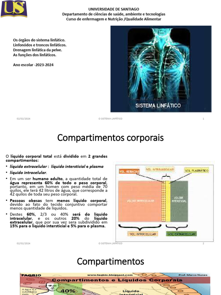 Sistema Linfático Pdf Sistema Linfático Linfa