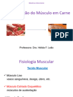 Transformação do Músculo em carne