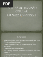 I SEMINÁRIO DA VISÃO CELULAR 2 (2)