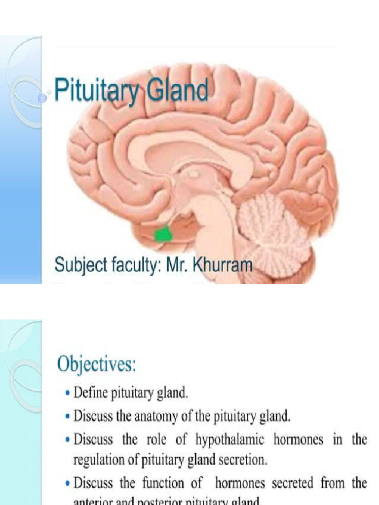 Pituitary Gland | PDF