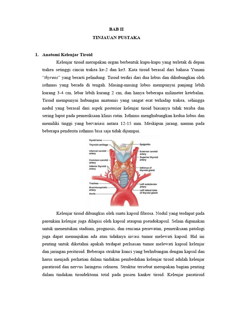 Anatomi dan Terapi Kanker Tiroid | PDF